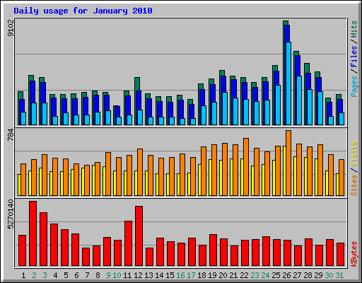 Daily usage for January 2010