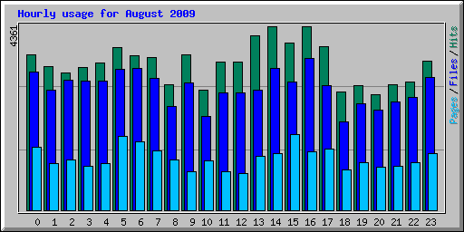 Hourly usage for August 2009