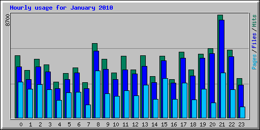 Hourly usage for January 2010