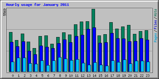 Hourly usage for January 2011